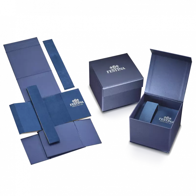 Montre festina f206332 bleu, bracelet acier inoxydable, homme