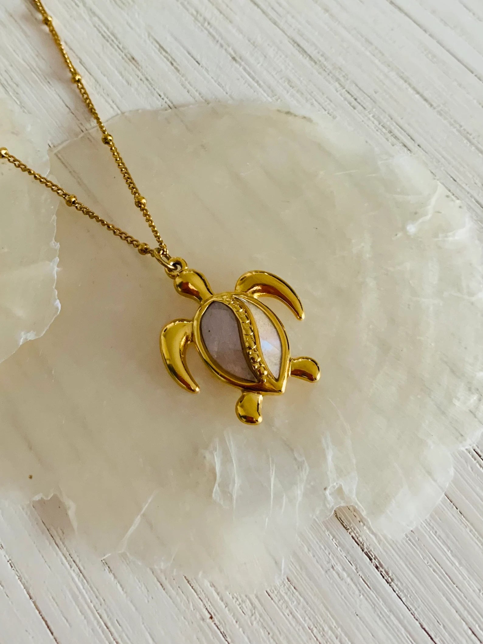 Collier Femme The Golden Turtle Stainless Steel